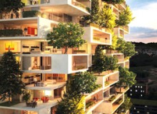 規則匯總｜立體綠化如何折算綠地面積？