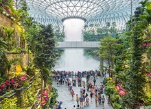 打造生態化公共空間，助力人文機場建設