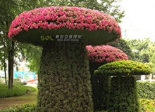 移動花園知多少？