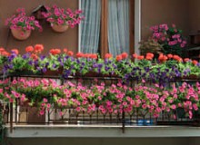 陽臺應如何建造規劃才對陽臺綠化有利？