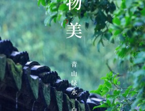 錦上添花 | 植物設(shè)計中的“小心思”