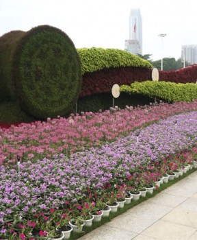 公園景觀綠化提升