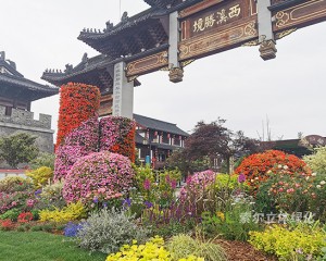 東臺西溪古鎮景區五一景觀提升