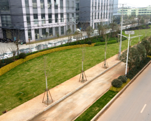 《境壩工業園大道》——南康城市道路景觀提升