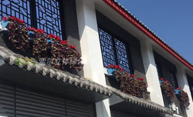 窗臺陽臺綠化美化