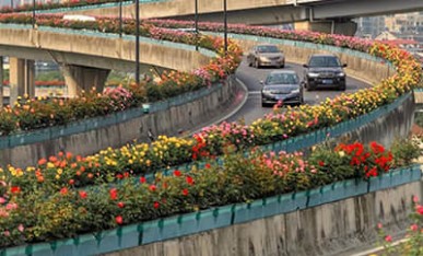 杭州高架橋立體綠化