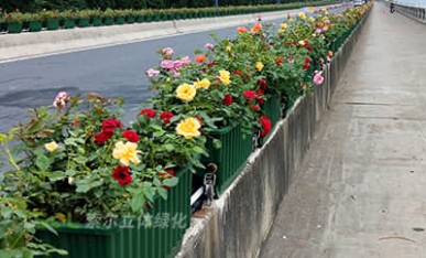 高架橋立體綠化項目