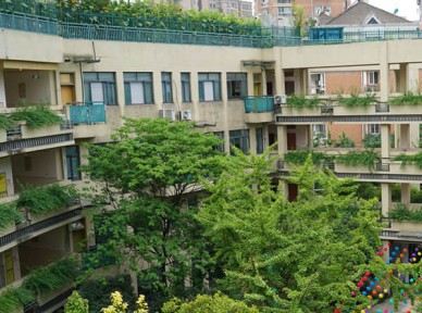 學(xué)校立體綠化解決方案