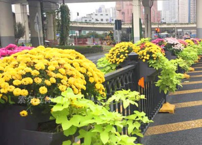 護欄綠化解決方案