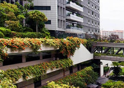 醫院立體綠化解決方案