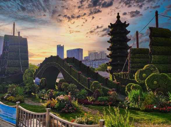 《淮水安瀾》——淮安廣場主題綠雕