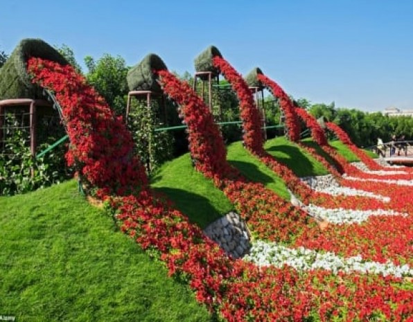 鮮花瀑布/拱門解決方案應用展示