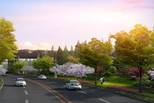 植被設(shè)計(jì)效果圖