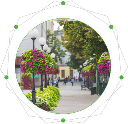 燈桿綠化的特點(diǎn)