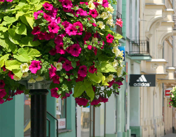 燈桿綠化解決方案簡(jiǎn)介1