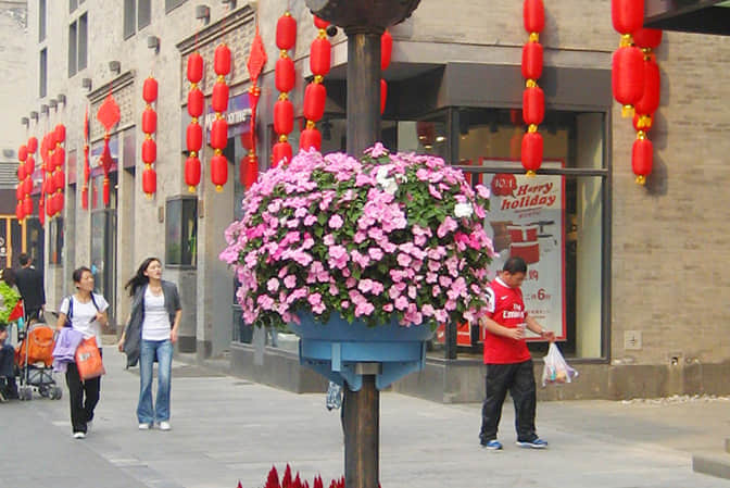 建筑區(qū)域景觀提升1