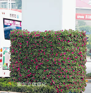 落地包式橋墩綠化-橢圓形