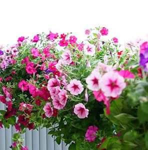 陽臺(tái)護(hù)欄雙面掛式美化