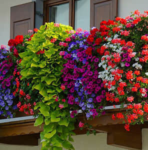 陽臺(tái)護(hù)欄單面掛式美化