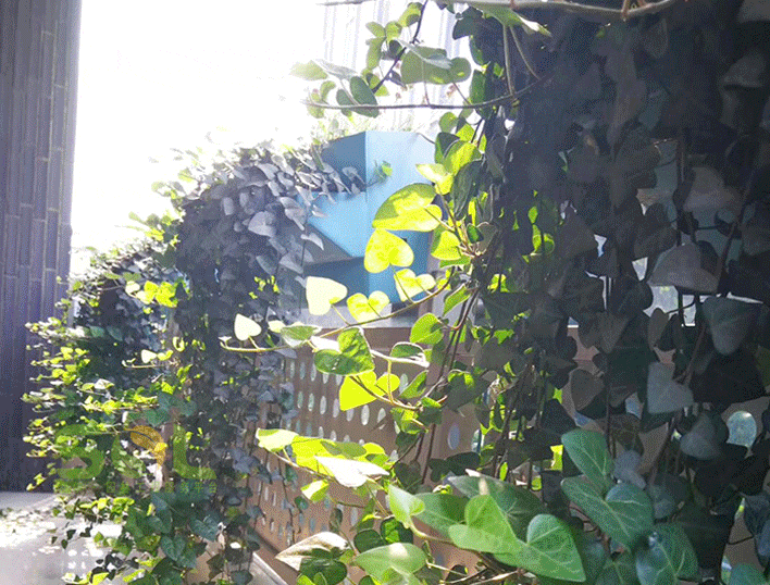 陽臺(tái)花園的安裝流程