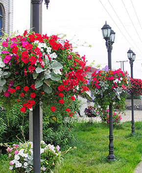 燈桿綠化解決方案