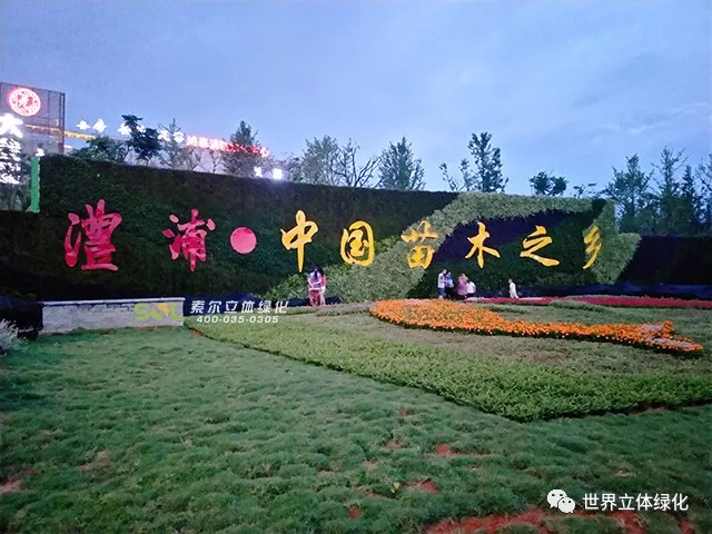 17 索爾浙江金華澧浦鎮植物墻道路圍擋垂直綠化.jpg