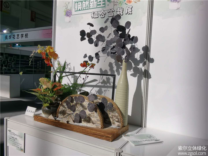 第二十二屆中國國際花卉園藝展-索爾 (7).jpg