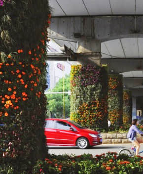 橋墩綠化解決方案