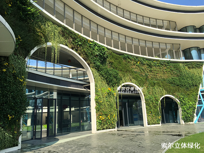 05未來(lái)科技城小學(xué)垂直綠化項(xiàng)目.jpg
