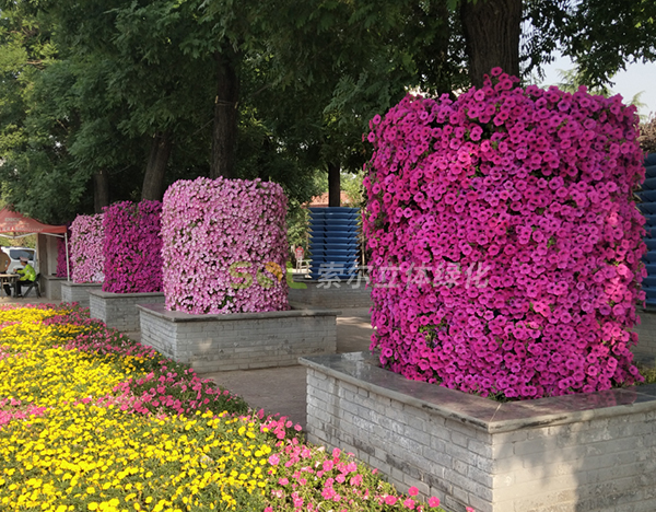 行道樹綠化解決方案簡介1