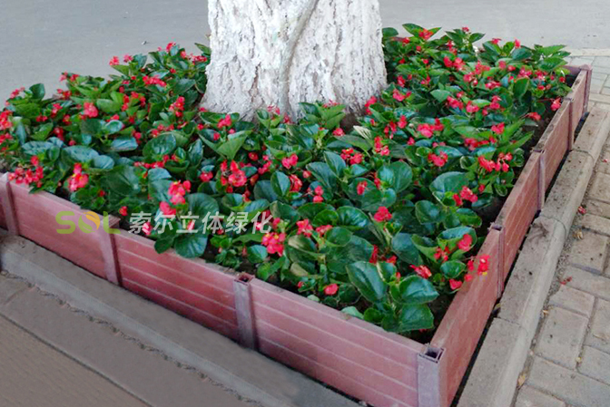 行道樹綠化公園景點景觀提升3