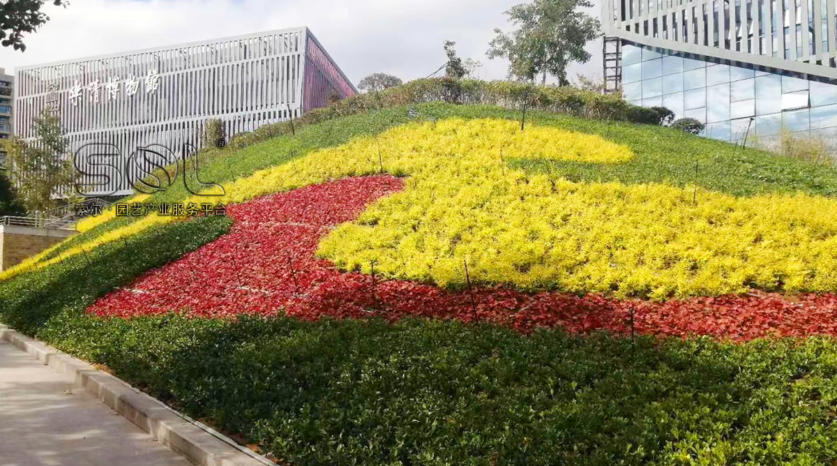 溫州樂清邊坡綠化