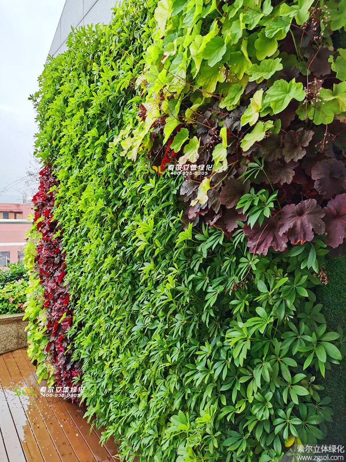 23 2019年7月浙江金華巨宏工貿(mào)辦公大樓屋頂花園項(xiàng)目 (3).jpg