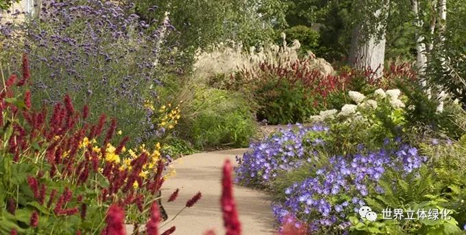 23格拉斯哥伊麗莎白女王大學醫院伊麗莎白女王國家脊柱傷害科花園 (8).jpg