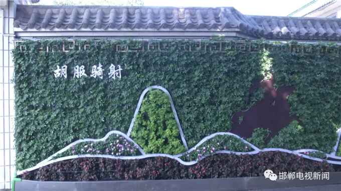 邯鄲電視新聞:我市首例“墻上花園”亮相叢臺公園 (4).jpg