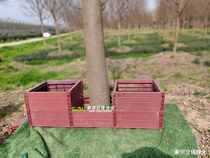 17索爾行道樹綠化造型 (14).jpg