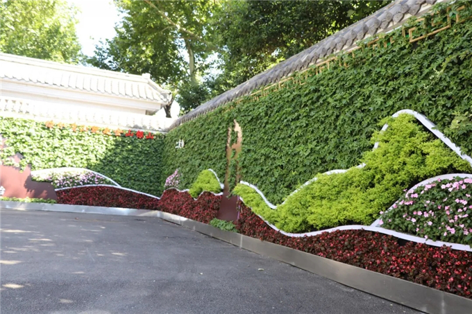 邯鄲首個“墻上花園”亮相，不但好看，還能降噪、除塵！ (4).jpg