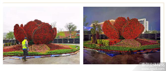 28山東青島膠州市民文化中心五一立體花壇“幸福花開” (45).jpg