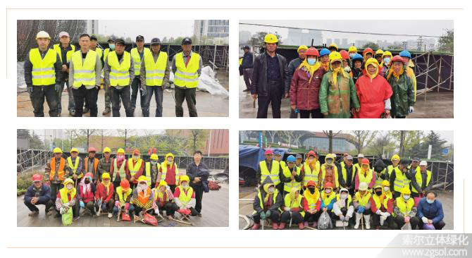 29山東青島膠州市民文化中心五一立體花壇“幸福花開” (52).jpg