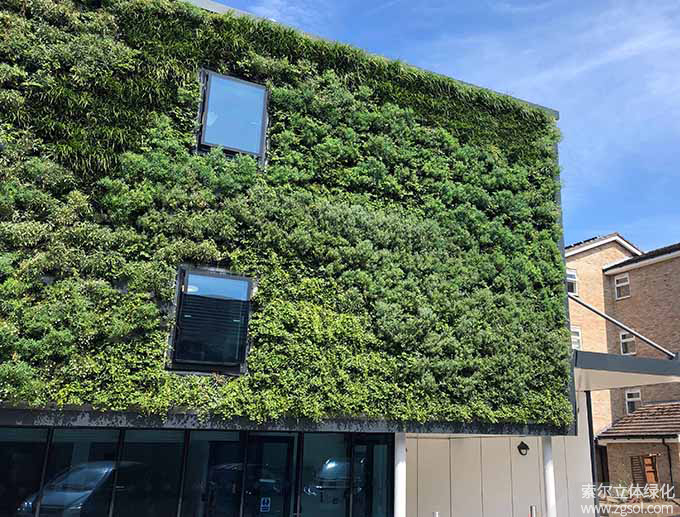 05植物墻 (20).jpg