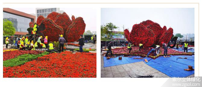 27山東青島膠州市民文化中心五一立體花壇“幸?；ㄩ_” (14).jpg