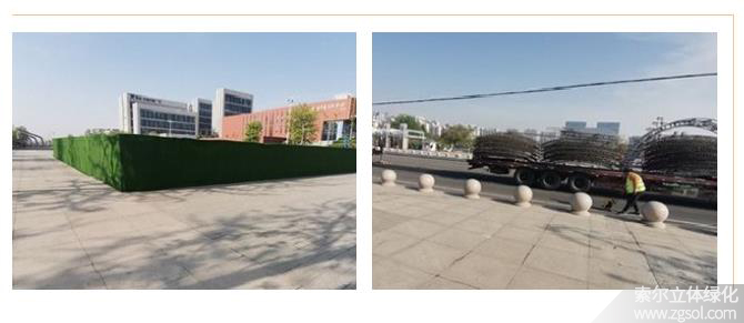 22山東青島膠州市民文化中心五一立體花壇“幸?；ㄩ_” (45).jpg