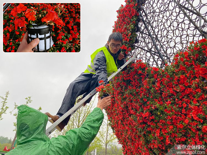 25山東青島膠州市民文化中心五一立體花壇“幸?；ㄩ_”  (24).jpg